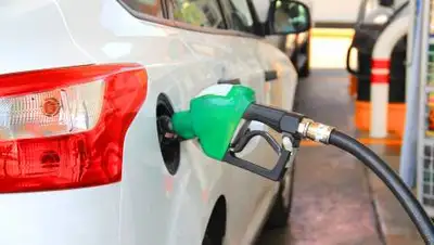 pixabay.com, фото - Новости Zakon.kz от 09.09.2021 14:28