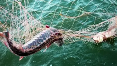 Zakon.kz, фото - Новости Zakon.kz от 21.05.2015 15:04