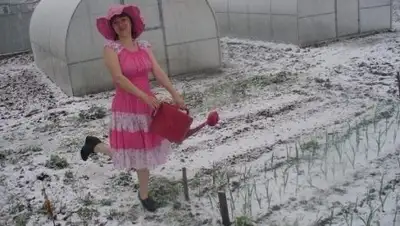 Zakon.kz, фото - Новости Zakon.kz от 14.07.2016 14:49