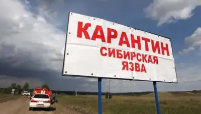 Zakon.kz, фото - Новости Zakon.kz от 11.07.2016 20:12