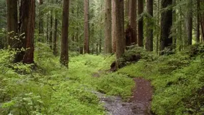 Zakon.kz, фото - Новости Zakon.kz от 08.08.2016 18:18