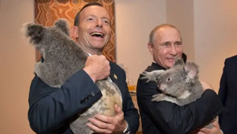 Фотосессия Путина с коалой обошлась австралийцам в 24 тысячи долларов