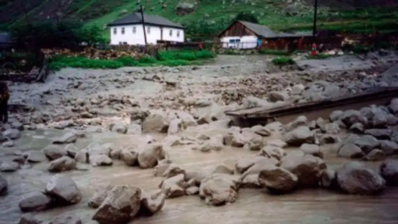 В Наурызбайском районе сносят аварийные деревья и чистят русло реки