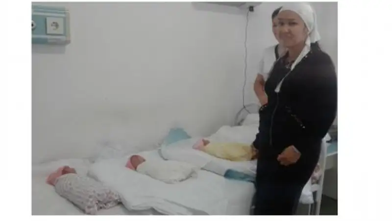 Таразда дүниеге үшем келді