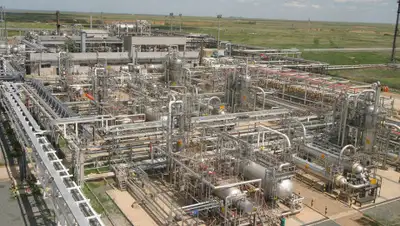 -, фото - Новости Zakon.kz от 24.05.2020 20:51