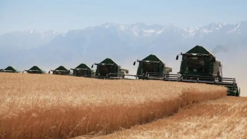 Жамбылские аграрии приступили к уборке урожая 