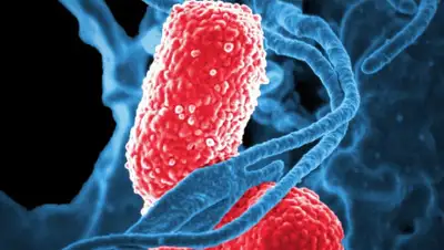 riafan.ru, фото - Новости Zakon.kz от 10.04.2020 10:37