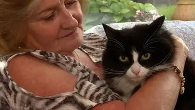 Zakon.kz, фото - Новости Zakon.kz от 11.11.2017 13:09