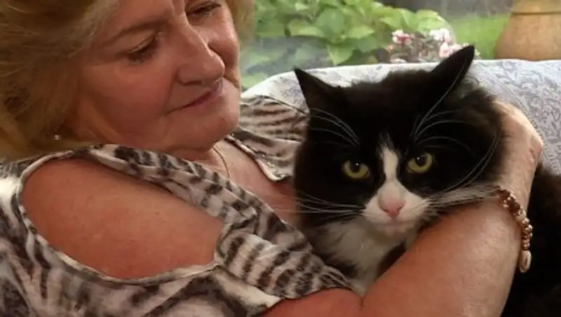 Полиция Лондона ищет серийного убийцу животных