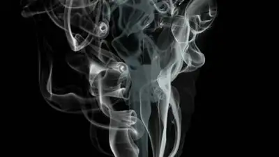 pixabay.com, фото - Новости Zakon.kz от 30.07.2021 09:59