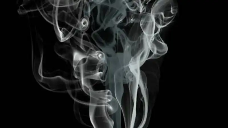 Как на самом деле работает никотин: мифы и факты