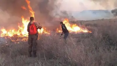 Загорелся лес в Восточно-Казахстанской области, фото - Новости Zakon.kz от 04.09.2022 23:39