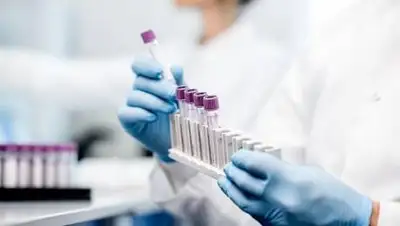 inform.kz, фото - Новости Zakon.kz от 18.11.2020 09:31