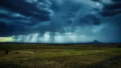 прогноз погоды, фото - Новости Zakon.kz от 02.08.2023 20:12