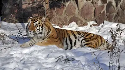 Zakon.kz, фото - Новости Zakon.kz от 05.12.2015 00:34