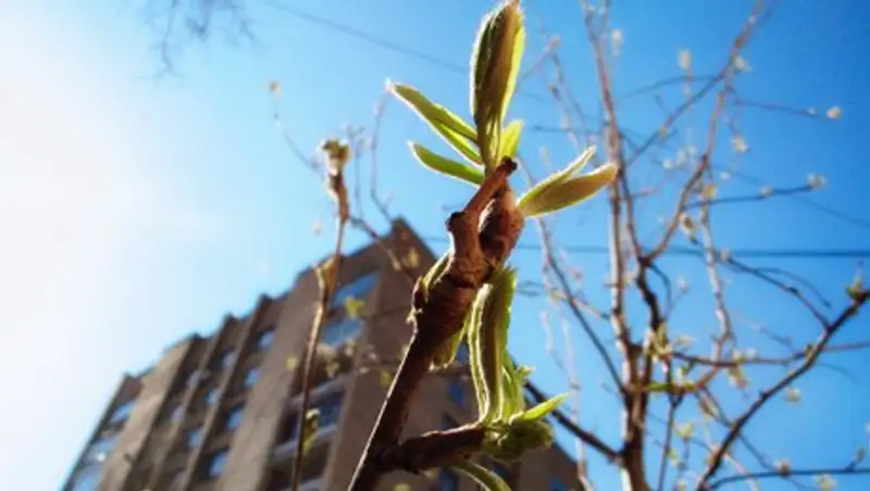 Ближе к выходным в РК ожидается прекращение осадков и повышение температуры