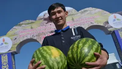 Zakon.kz, фото - Новости Zakon.kz от 19.08.2017 16:01