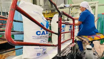 изменения в указ о проведении моратория на проверки, фото - Новости Zakon.kz от 29.07.2022 10:47