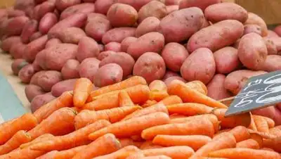 pixabay.com, фото - Новости Zakon.kz от 18.10.2021 12:45