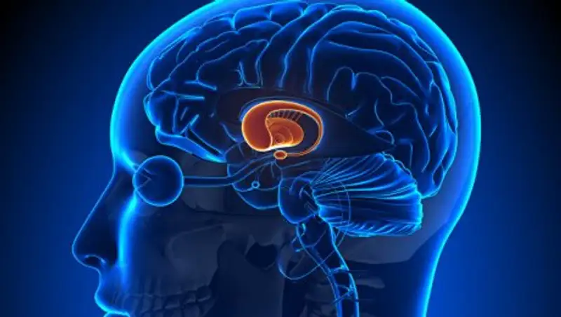 Гормон беременности поможет вылечить рассеянный склероз