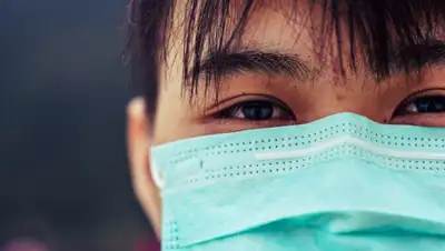 Vet Candy, фото - Новости Zakon.kz от 24.03.2020 17:59