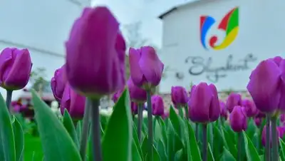 Zakon.kz, фото - Новости Zakon.kz от 15.11.2017 17:00