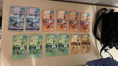 Охрана и подбор клиентов: жительница Костаная вовлекала студенток в проституцию, фото - Новости Zakon.kz от 08.06.2023 16:29