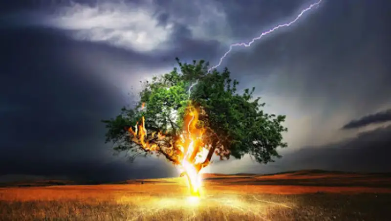 Туман, усиление ветра и пыльная буря ожидаются в Казахстане 29 августа