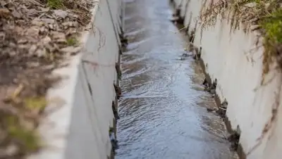 onthe.io, фото - Новости Zakon.kz от 03.03.2018 17:55