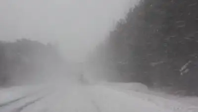 Zakon.kz, фото - Новости Zakon.kz от 19.10.2016 02:27