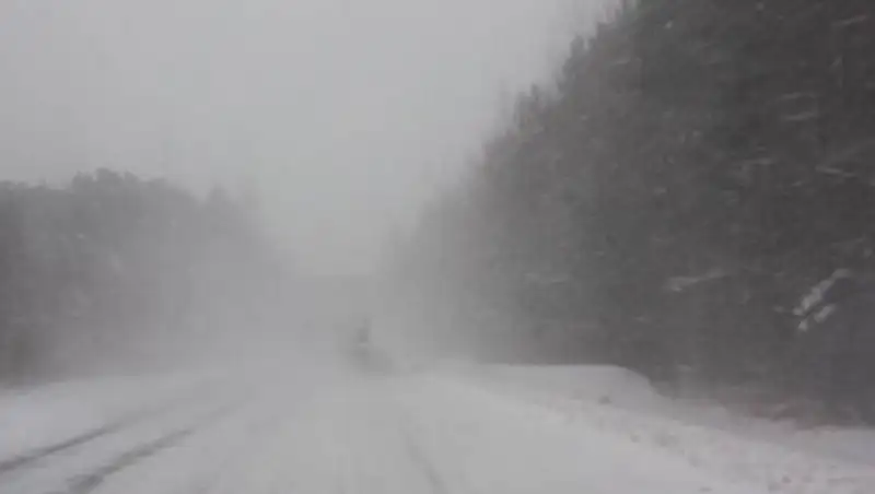 В Жамбылской и Южно-Казахстанской областях ограничили движение на дорогах