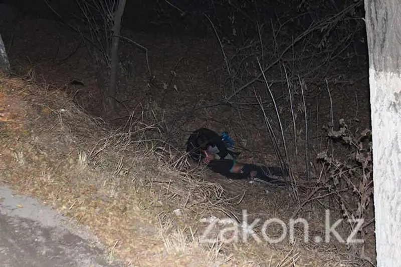 Смерть на Кульджинке в Алматы - водитель Тойоты сбил пешехода (фото) Смерть на Кульджинке в Алматы - водитель Тойоты сбил пешехода (фото), фото - Новости Zakon.kz от 12.11.2013 17:40