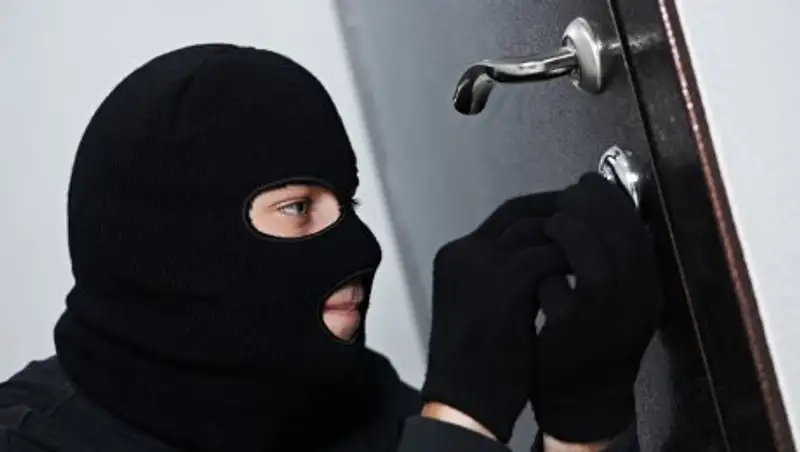 Группа серийных домушников обезврежена в Алматинской области