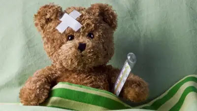 zen.yandex.ru, фото - Новости Zakon.kz от 31.10.2019 13:20