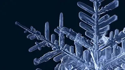 Zakon.kz, фото - Новости Zakon.kz от 27.12.2016 23:13