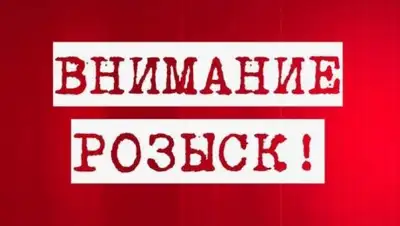 соцсети, фото - Новости Zakon.kz от 08.11.2018 14:39