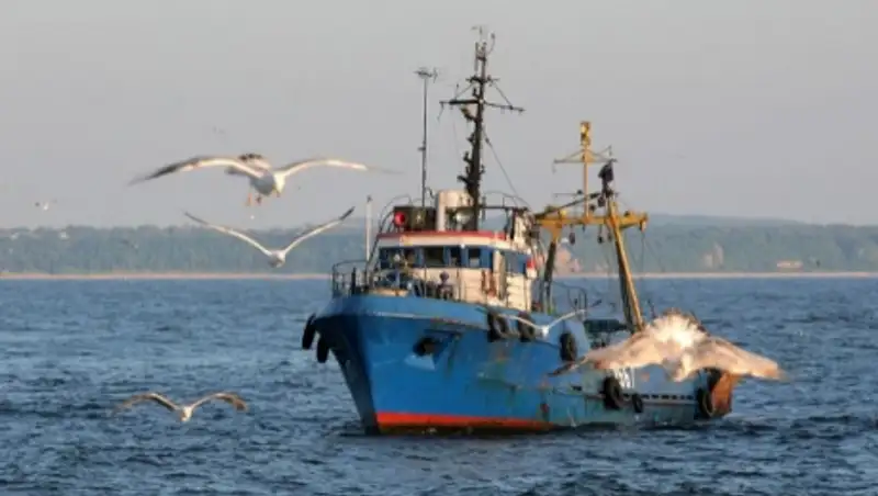 Малайзийские рыбаки, пропавшие у берегов Индонезии, найдены живыми