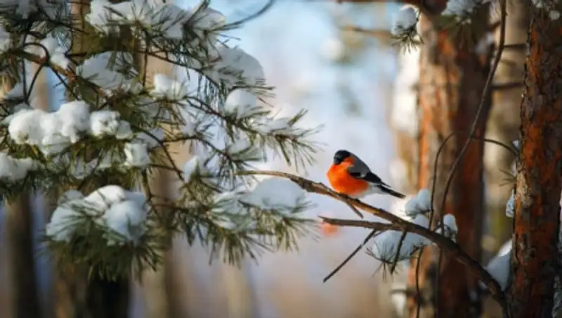 Порадует ли казахстанцев погода 16 декабря