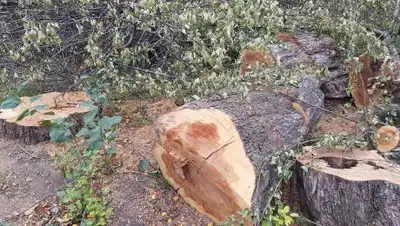 facebook.com/salta.virgilio, фото - Новости Zakon.kz от 14.09.2021 10:32