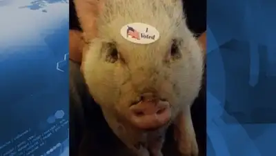 Zakon.kz, фото - Новости Zakon.kz от 08.05.2015 21:49