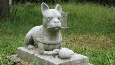 pixabay.com, фото - Новости Zakon.kz от 11.03.2021 01:34