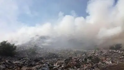 Zakon.kz, фото - Новости Zakon.kz от 13.06.2017 03:20