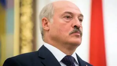 shipovnik.ua, фото - Новости Zakon.kz от 27.11.2020 19:49