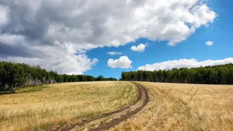 Российские поисковики ищут в Казахстане родных летчика, погибшего на войне