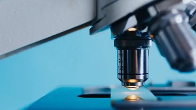 Ученые нашли ген, который поможет в борьбе с диабетом и раком