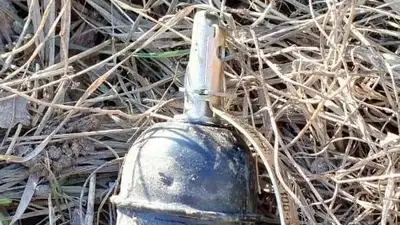 находка, фото - Новости Zakon.kz от 05.04.2023 20:42