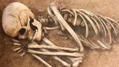 Zakon.kz, фото - Новости Zakon.kz от 18.08.2017 11:42