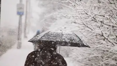 24.kz, фото - Новости Zakon.kz от 27.01.2021 11:22