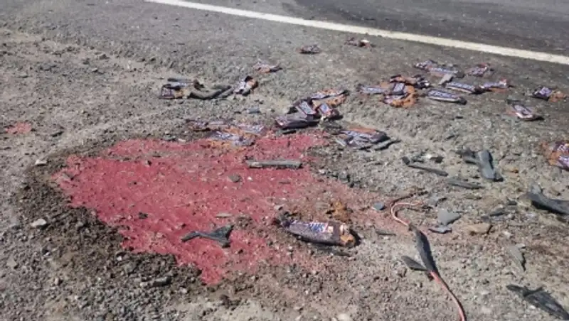 В ДТП на трассе Алматы-Бишкек погибли пять человек