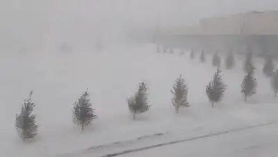 Zakon.kz, фото - Новости Zakon.kz от 27.01.2020 12:37